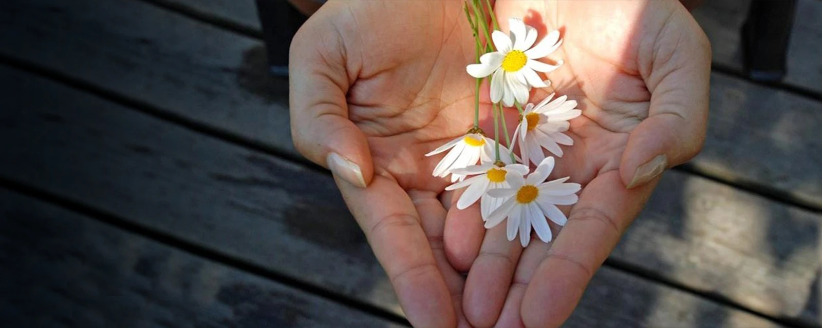 Flower background
